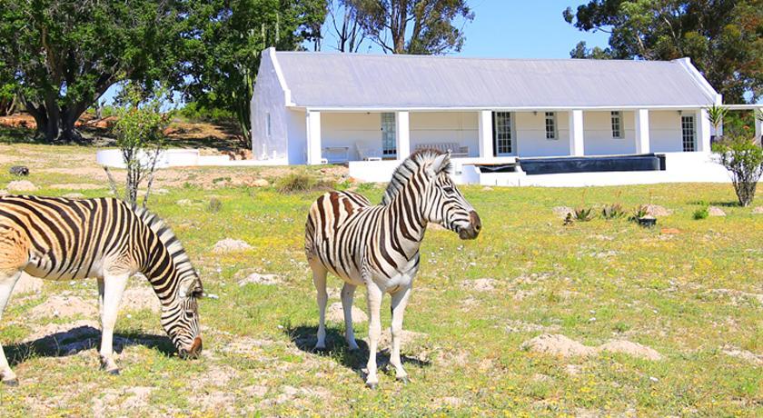 Arnion - Nature Retreat Clanwilliam Bagian luar foto